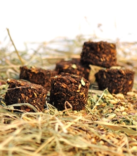 Stud Muffins Cristmas Pudding til Hest - Gingerbread